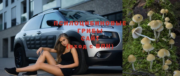 спайс Аркадак
