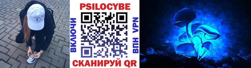 Псилоцибиновые грибы Magic Shrooms купить цена Каспийск